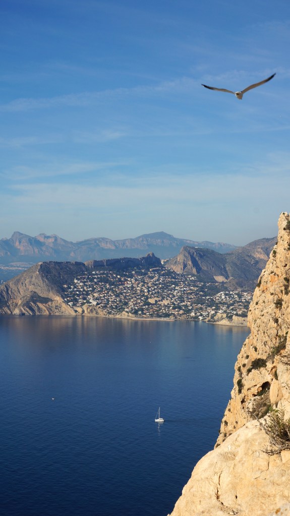 A seagull flies over the Mediterranean Sea in Calpe, Spain. Below, the blue ocean and one lonely sailboat, the rocky coast, and nearby coastal cities.